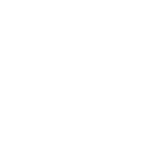 ABS POS